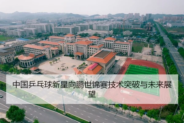 中国乒乓球新星向鹏世锦赛技术突破与未来展望